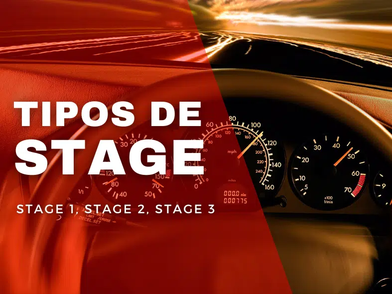 TIPOS DE STAGE