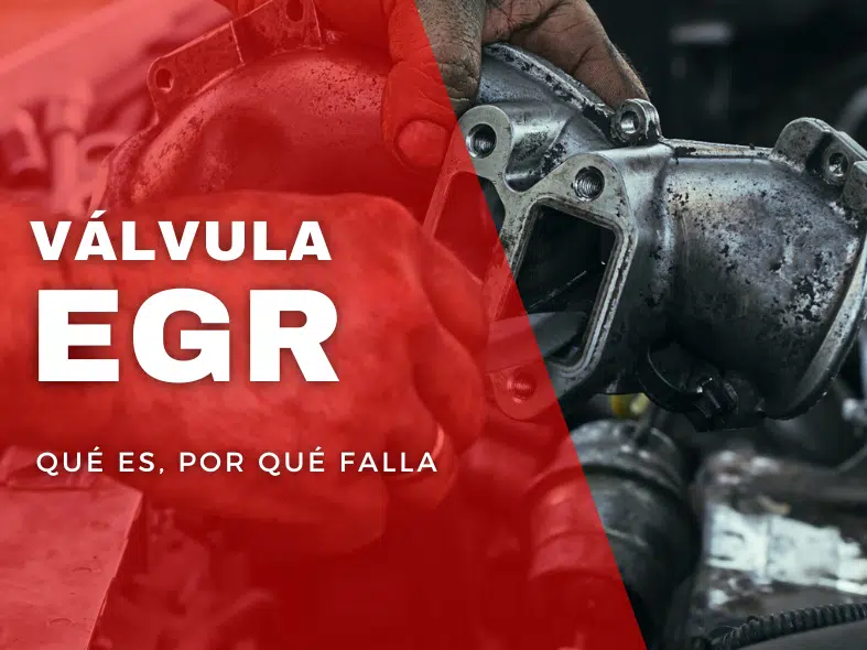 VÁLVULA EGR