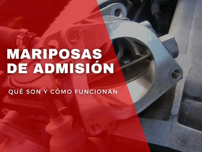 Mariposas de Admisión: Qué son y cómo funcionan